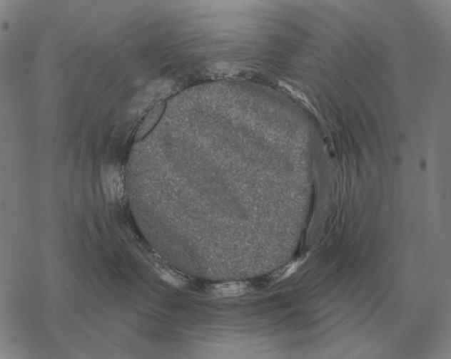 X0000068270335200605191834