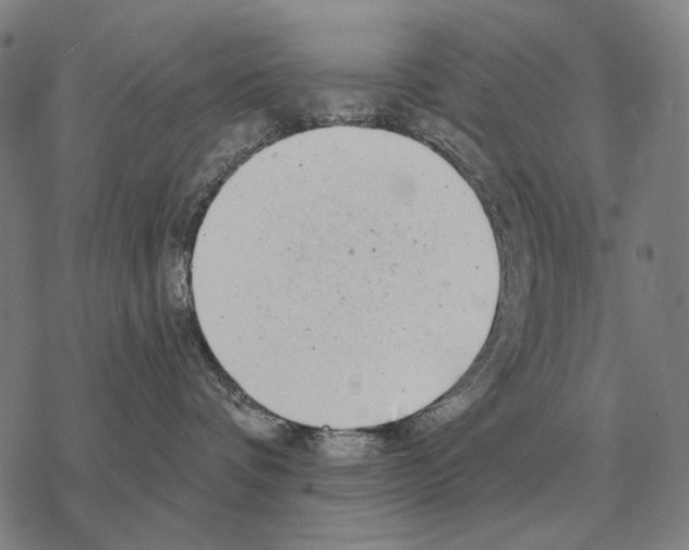 X0000068270336200605191834