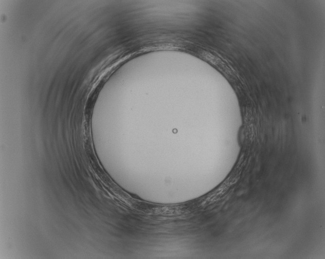 X0000068270338200605191833