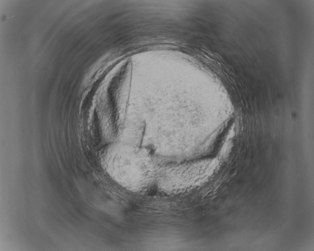 X0000068270339200605191833