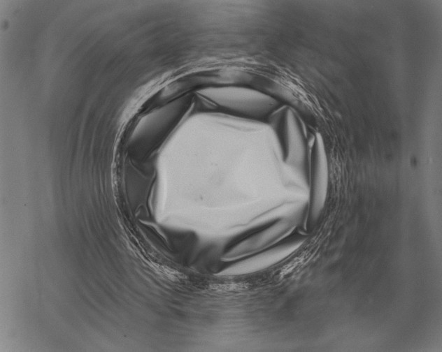 X0000068270340200605191833