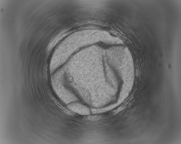 X0000068270341200605191833