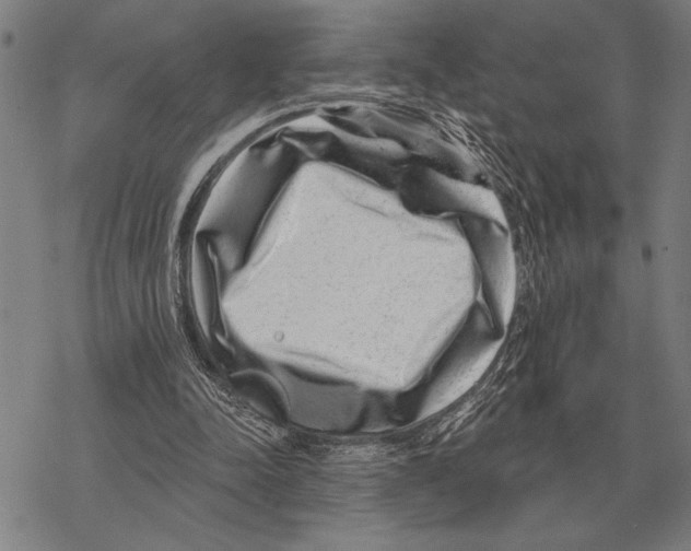 X0000068270342200605191833