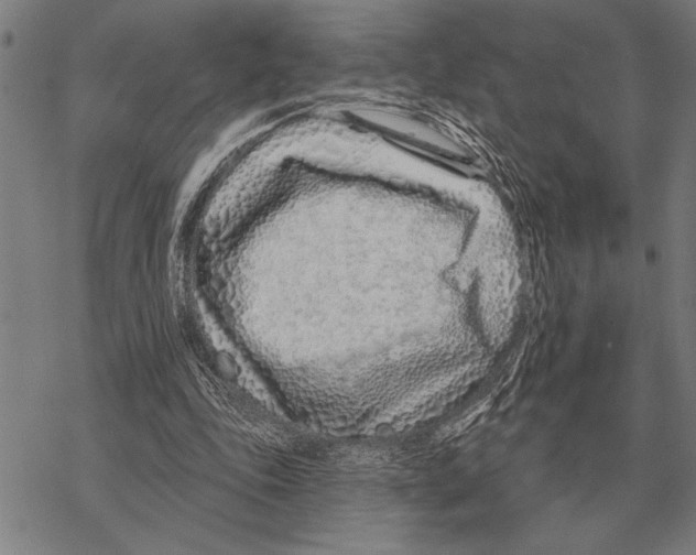 X0000068270343200605191833