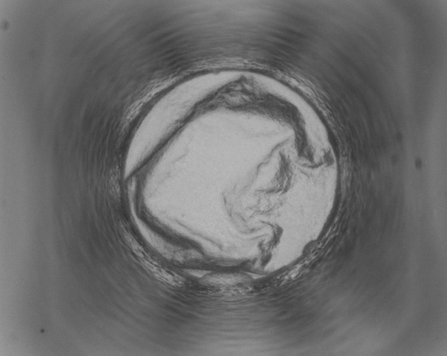 X0000068270345200605191833