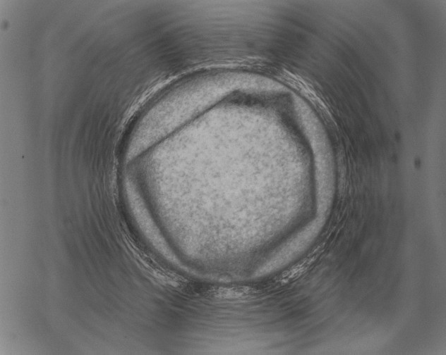 X0000068270346200605191833