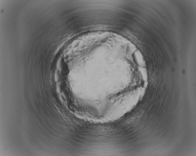 X0000068270347200605191833