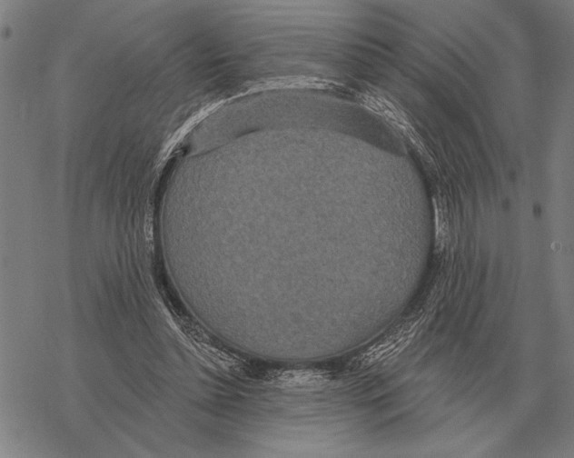 X0000068270348200605191833