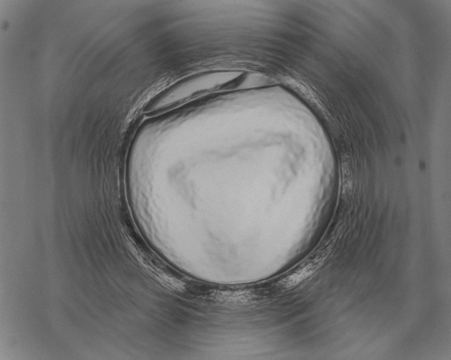 X0000068270349200605191833