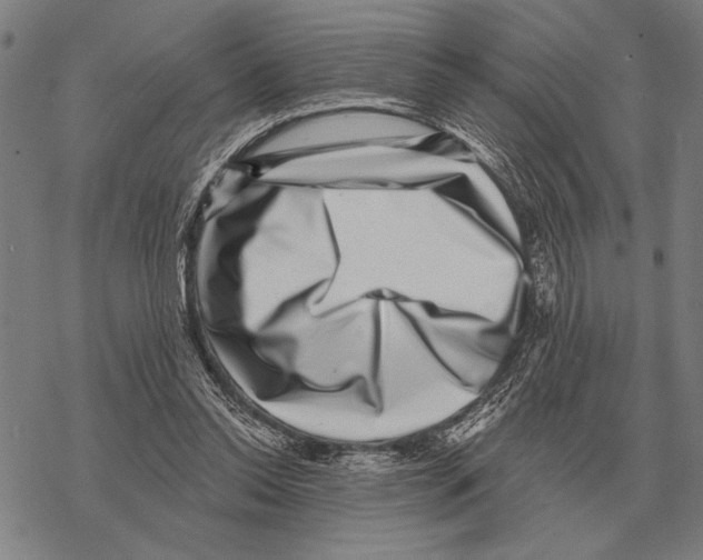 X0000068270350200605191833