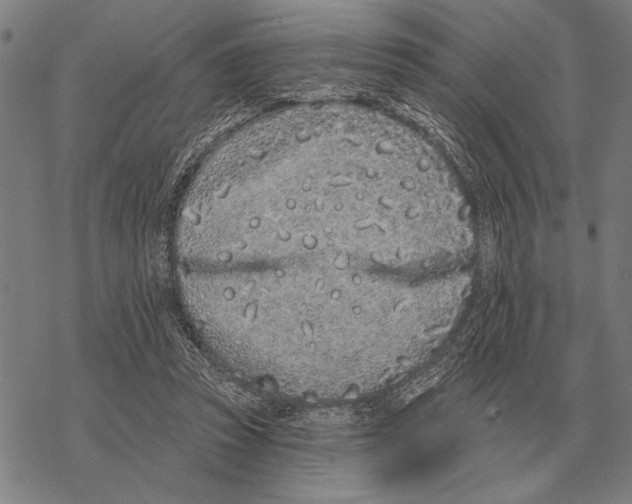 X0000068270353200605191833