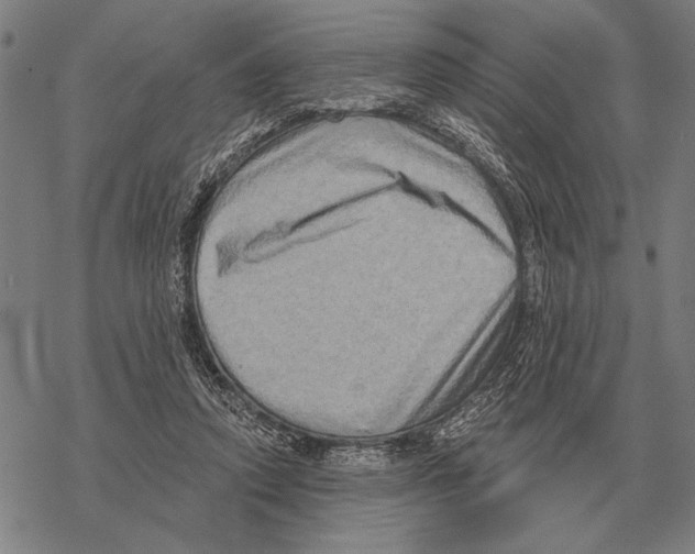 X0000068270354200605191833