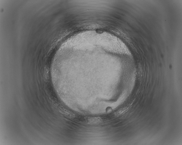 X0000068270355200605191833