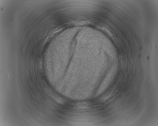 X0000068270357200605191833