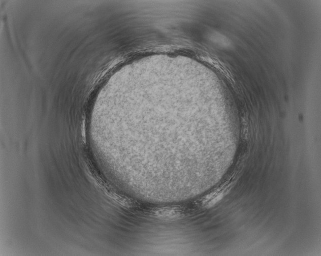 X0000068270358200605191833