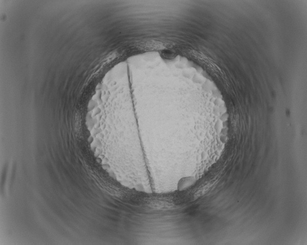 X0000068270359200605191833