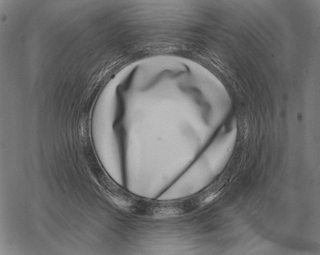 X0000068270360200605191833