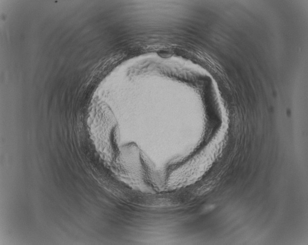 X0000068270361200605191834