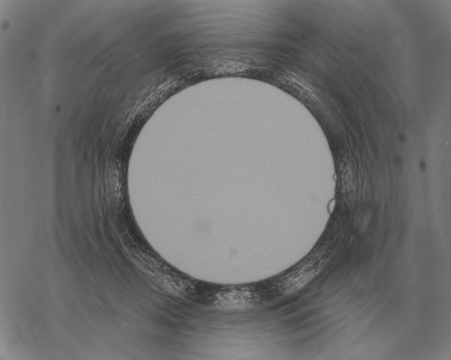 X0000068270362200605191834