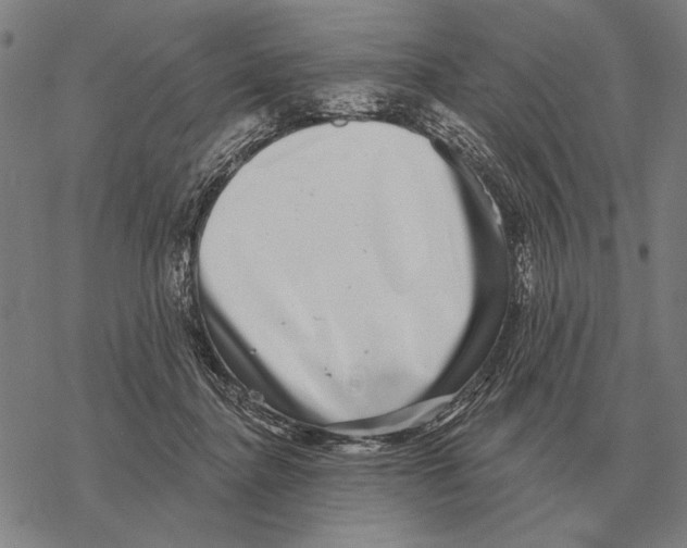 X0000068270364200605191834