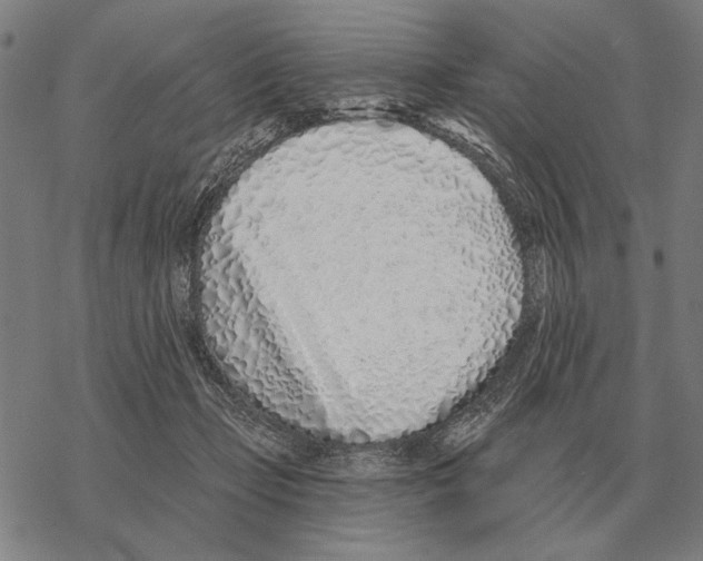 X0000068270365200605191834