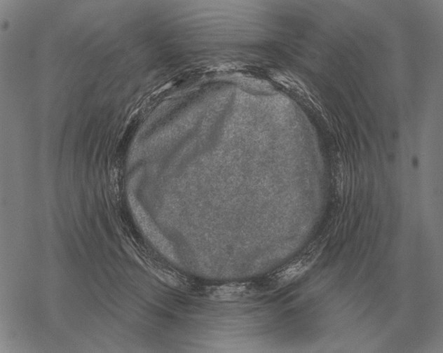 X0000068270366200605191834