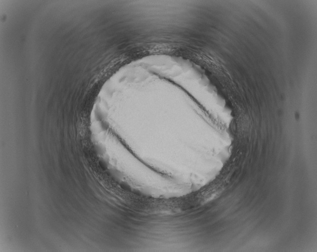 X0000068270367200605191834