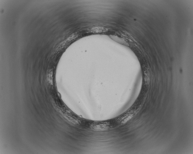 X0000068270368200605191834