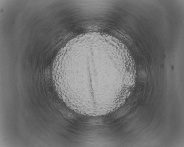 X0000068270369200605191834