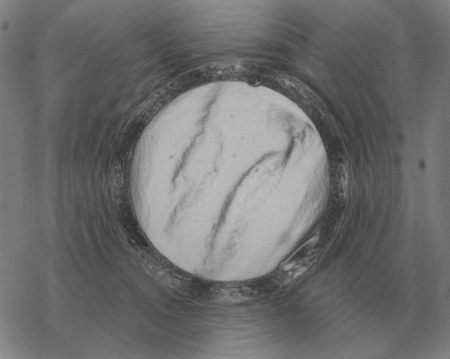 X0000068270372200605191834