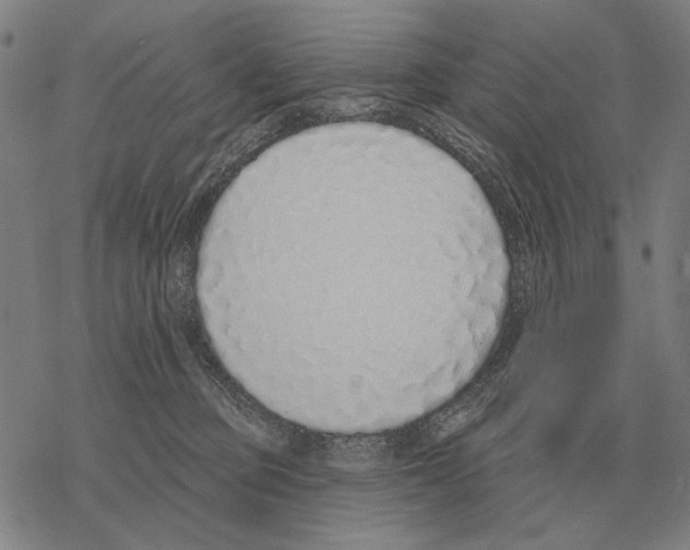 X0000068270373200605191834