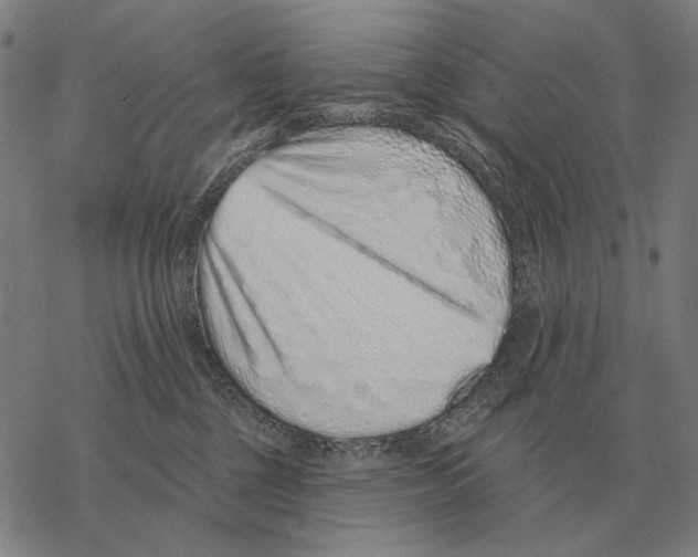 X0000068270377200605191834