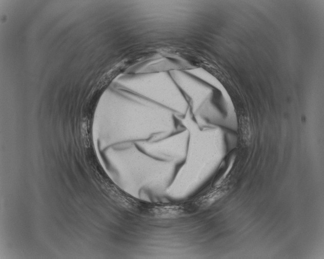 X0000068270378200605191834