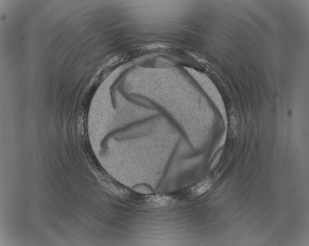 X0000068270379200605191834