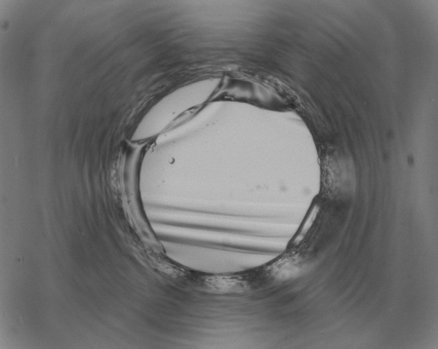 X0000068270380200605191834