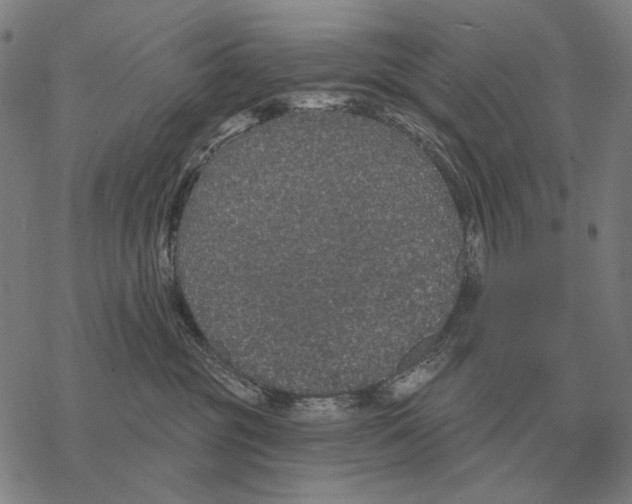 X0000068270381200605191834