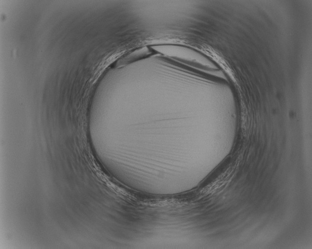 X0000068270385200605191833