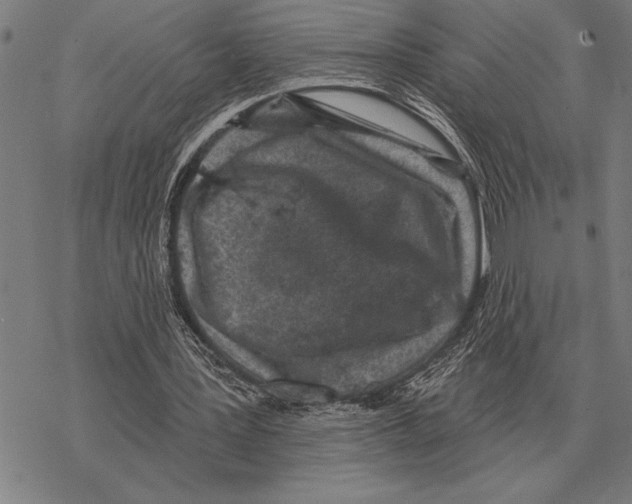 X0000068270387200605191833