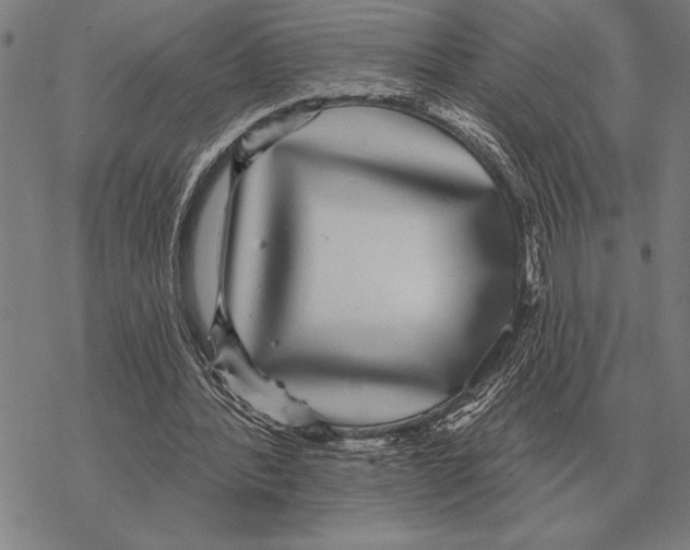 X0000068270388200605191833