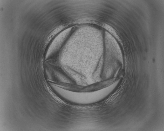 X0000068270389200605191833