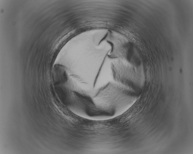 X0000068270390200605191833