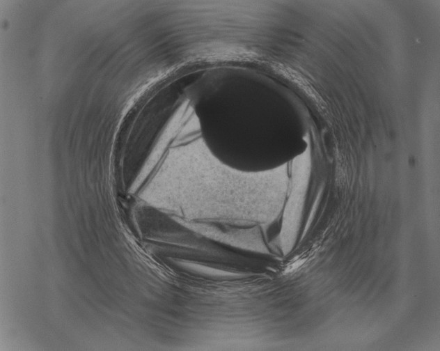 X0000068270391200605191833