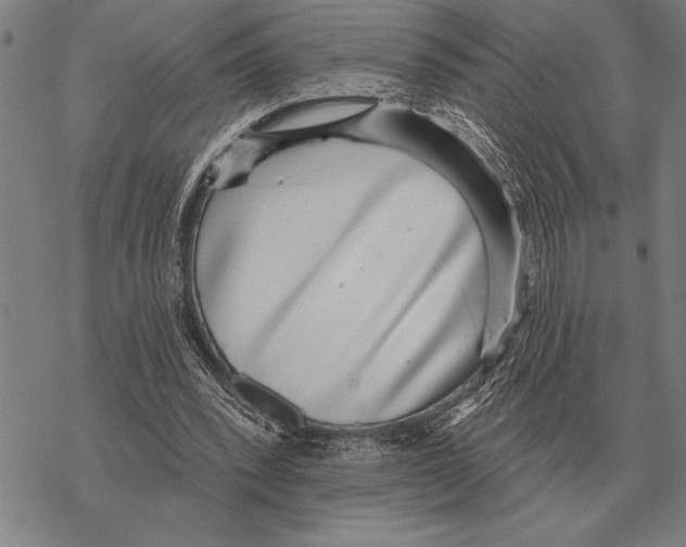 X0000068270392200605191833