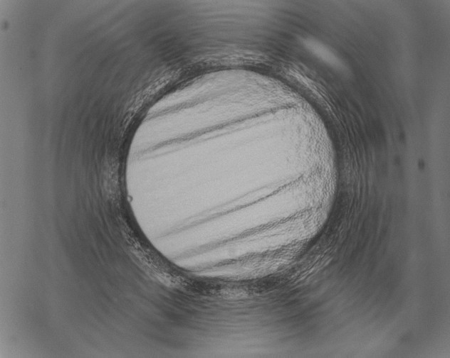 X0000068270394200605191833