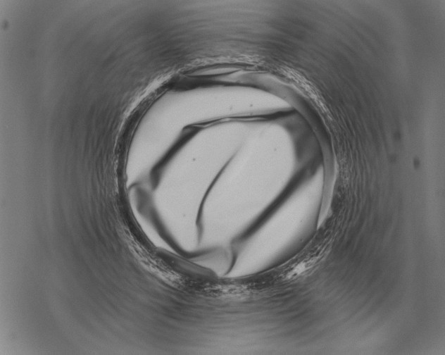 X0000068270395200605191833