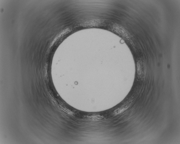 X0000068270396200605191833