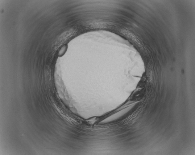 X0000068270398200605191833