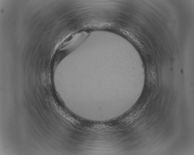 X0000068270399200605191833