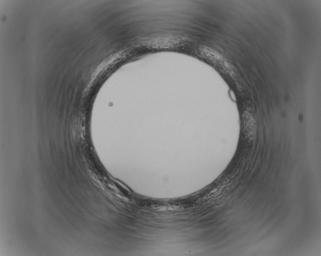 X0000068270400200605191833