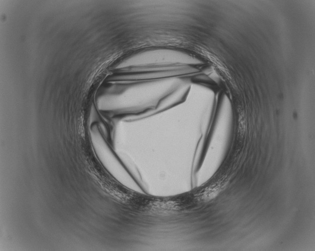 X0000068270403200605191833